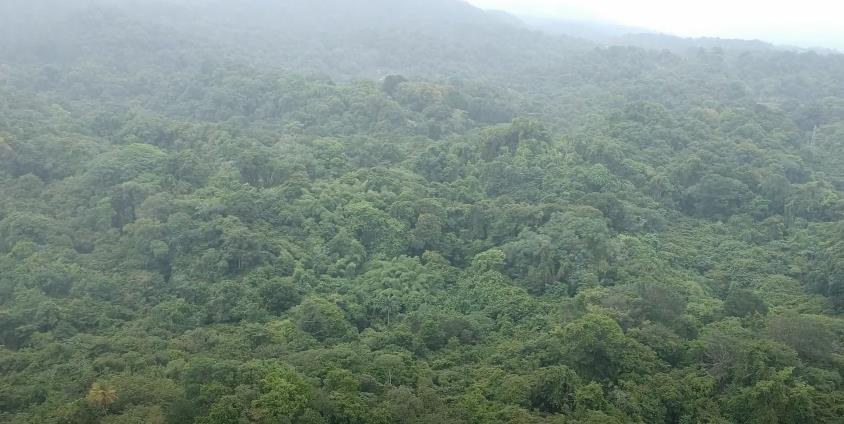 74 Acres Balandra Reduced for QUICK SALE — photo 2