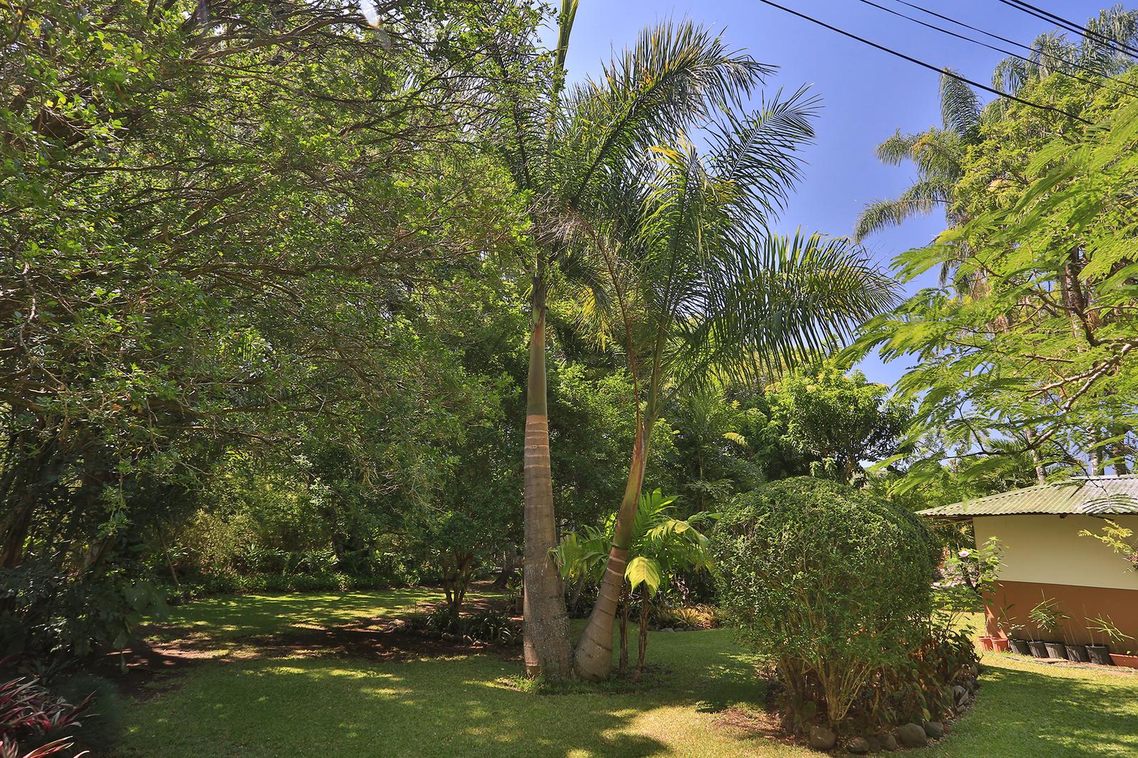 4 Bedroom Home for Sale in Brasil, Santa Ana, Costa Rica — photo 5