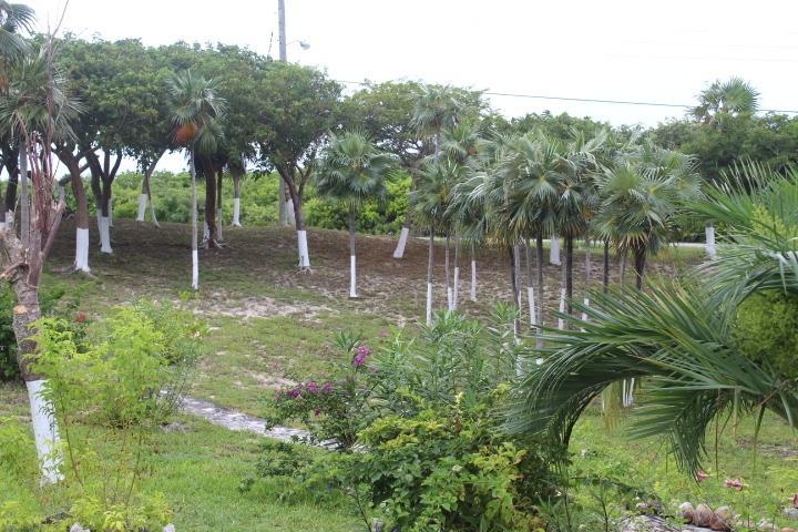 STELLA MARIS LOT# 94 — photo 4