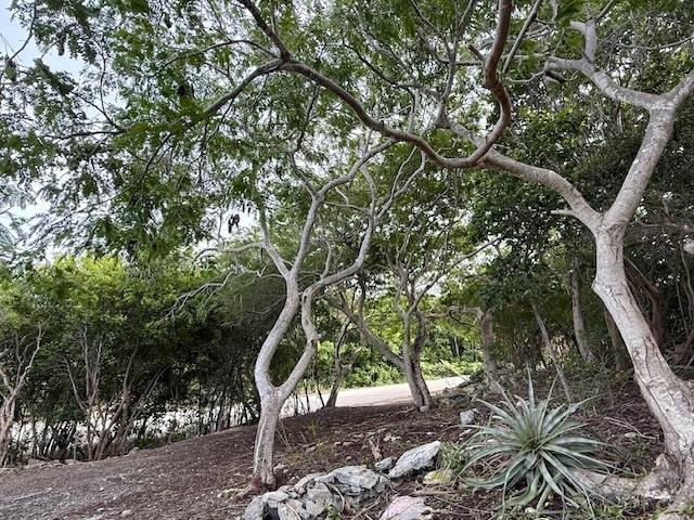 SEYMOUR’S HILLTOP SEAVIEW — photo 4