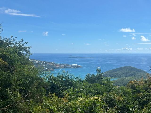 Land/Vacant Land for sale - 95-2a Solberg Lns, St. Thomas, VI — photo 5