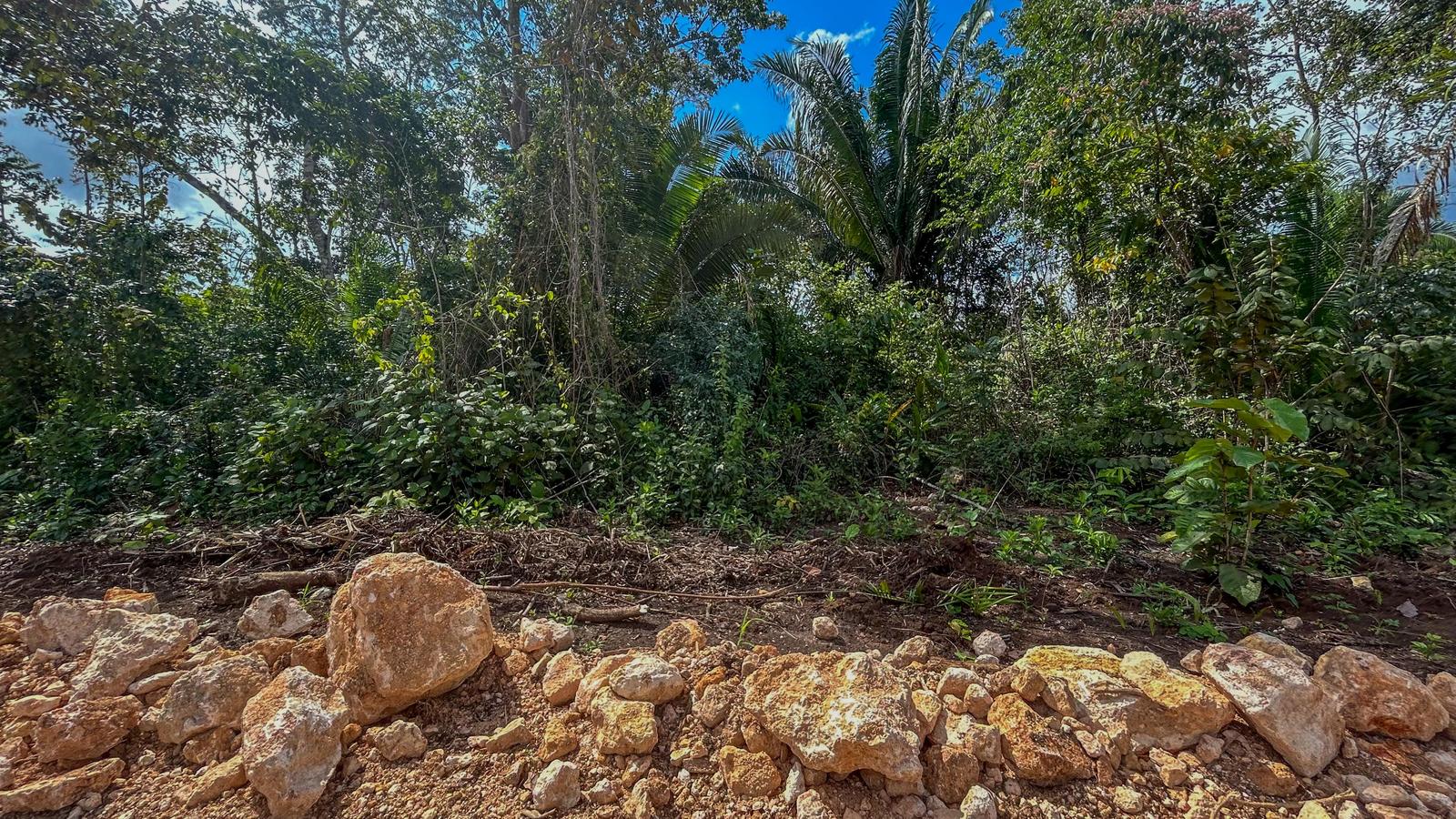 Prime Residential Lot for Sale – Belmopan, Cayo District, Belize — photo 3