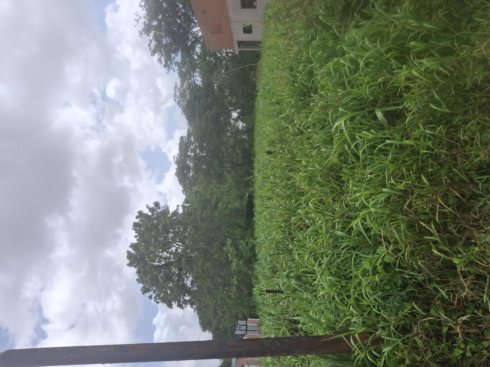 Residential Lot for Sale in Caigual, Trinidad and Tobago — photo 2