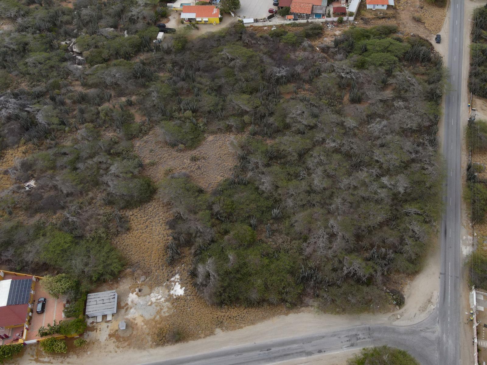 Full Ownership Land in Calbas (on Hold) — photo 4