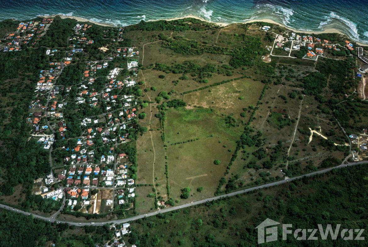 123 Acres of Prime Oceanfront Development Land CABARETE — photo 4