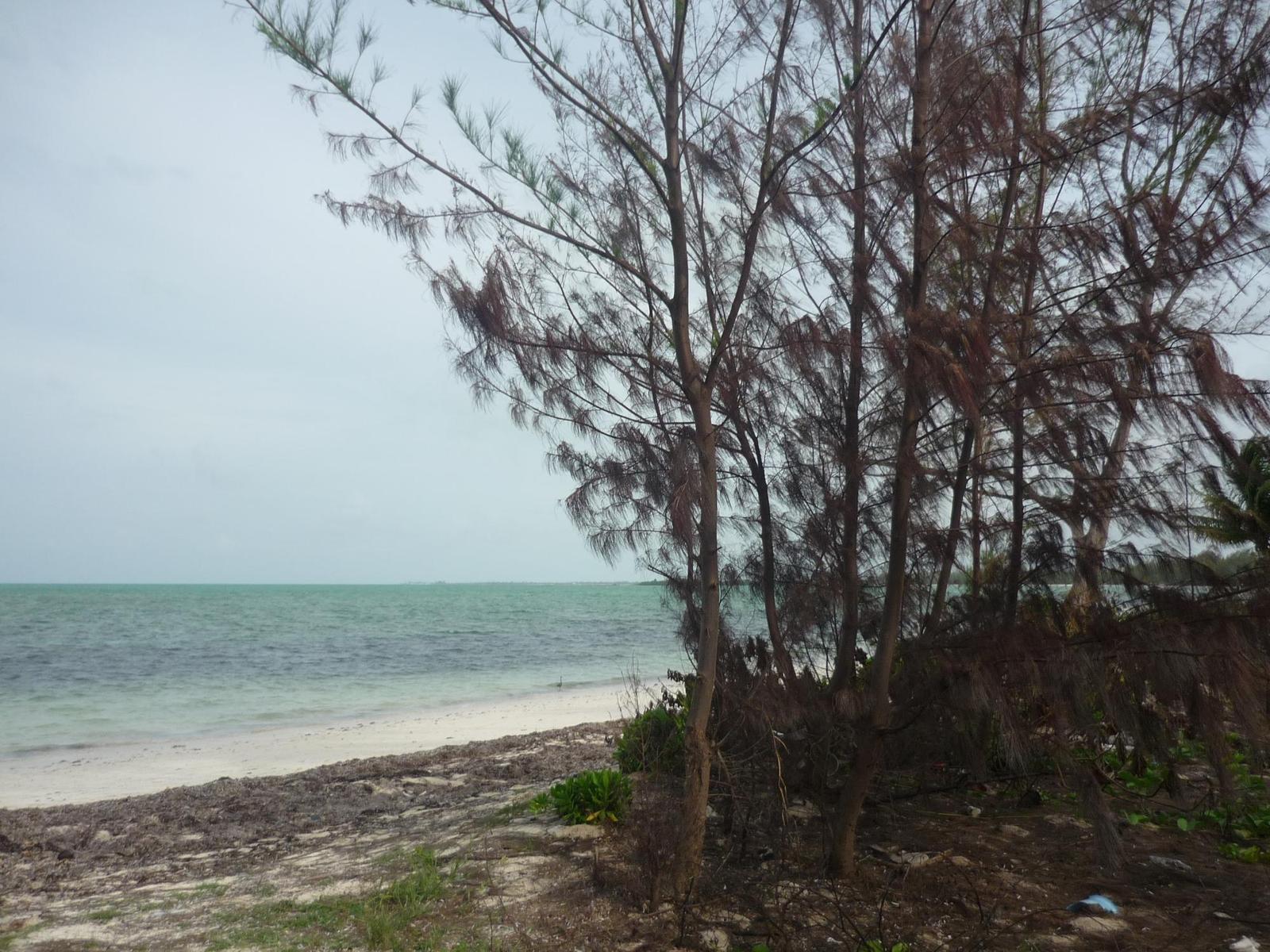1.020 ACRES MANGROVE CAY — photo 2