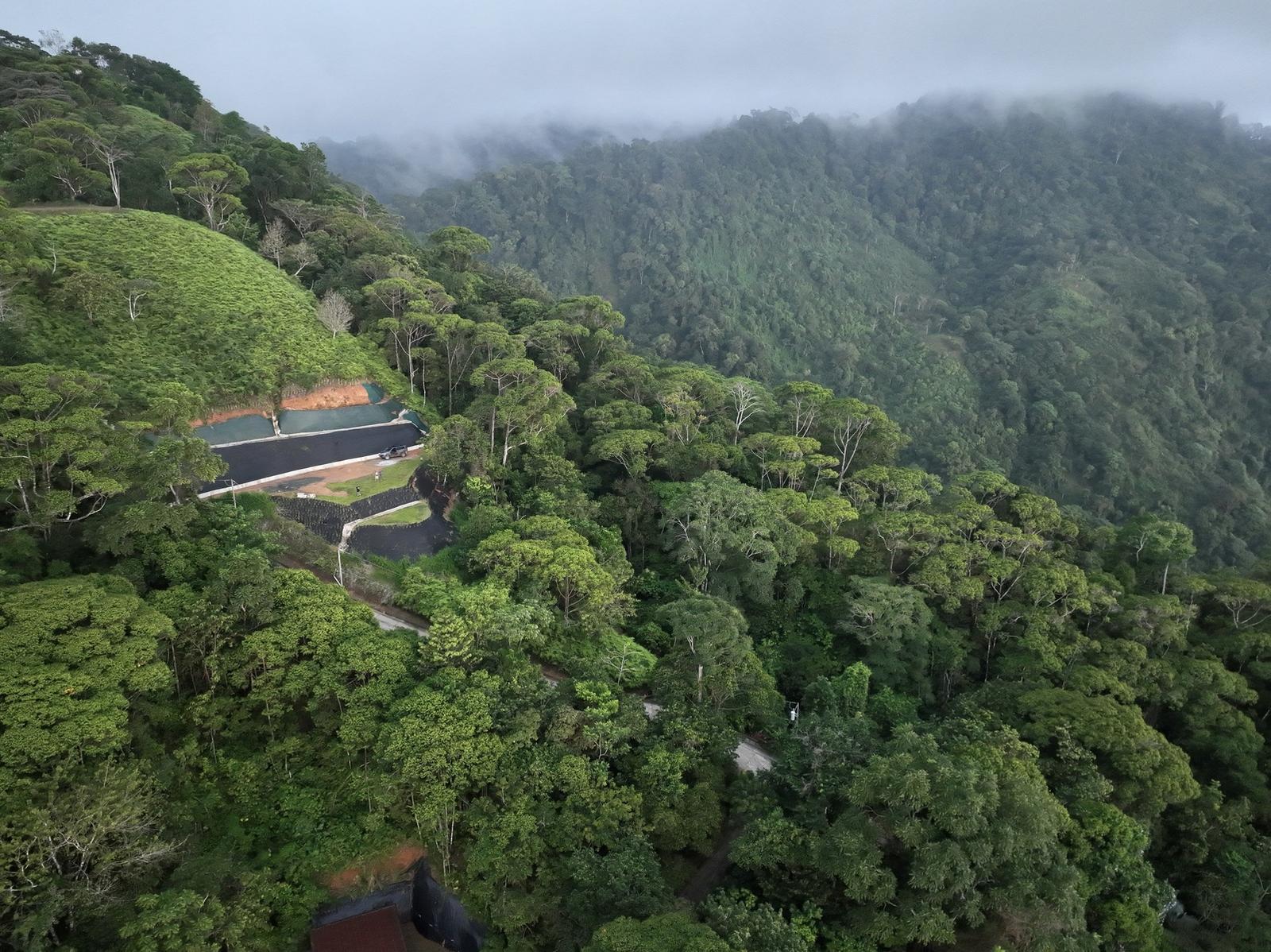2 Acres of Land for Sale in Escaleras, Puntarenas, Costa Rica — photo 1