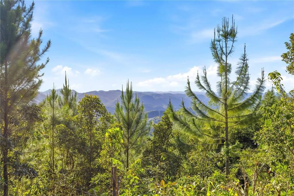 4 bedroom Single Family Home/House for sale in Cayey, PR — photo 4