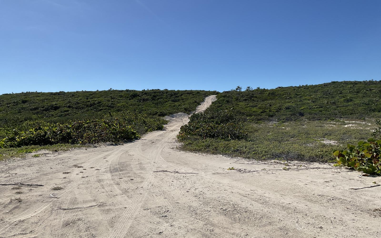 Vacant Land for sale - Lot 1-c, Acreage — photo 4