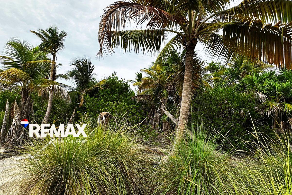 OCEANVIEW LOT NEAR BLISS BEACH — photo 1