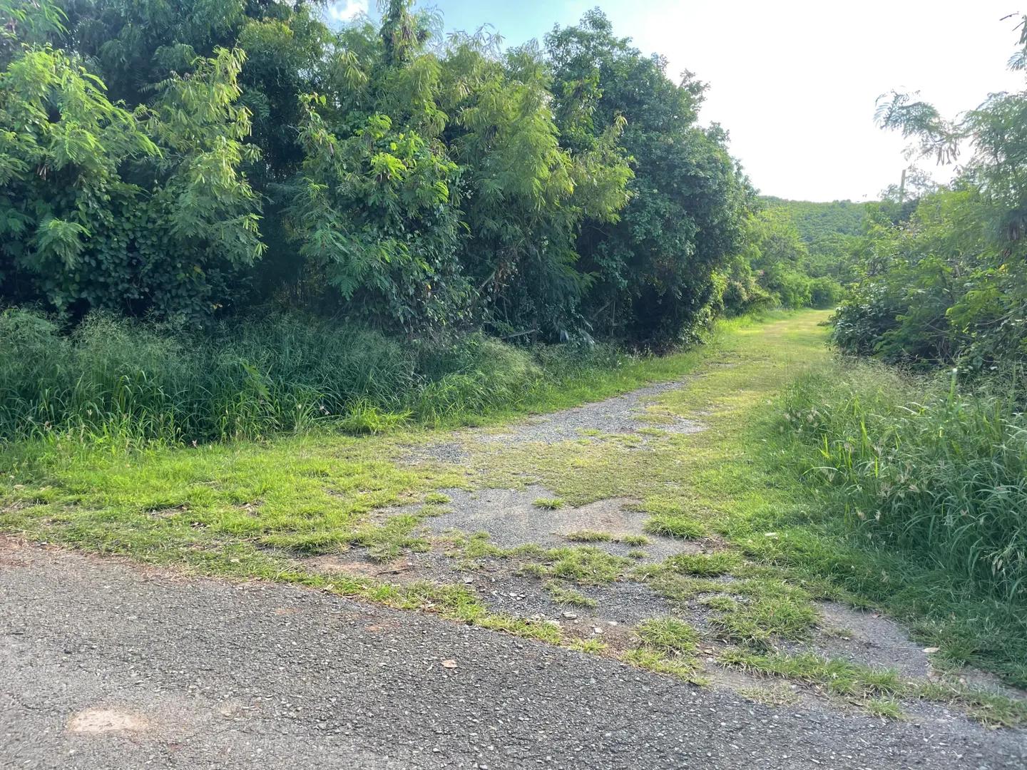 1.43 Acre Homesite Lot in Cotton Valley, US Virgin Islands — photo 1