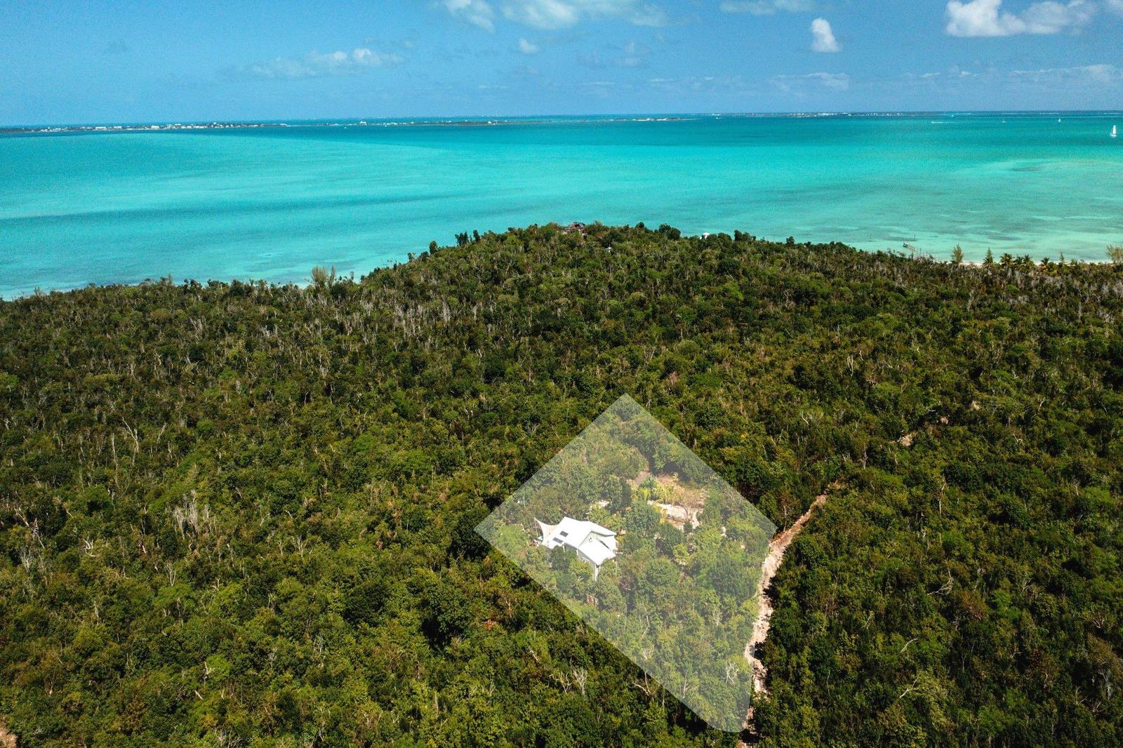 JUNGLE HUT — photo 2