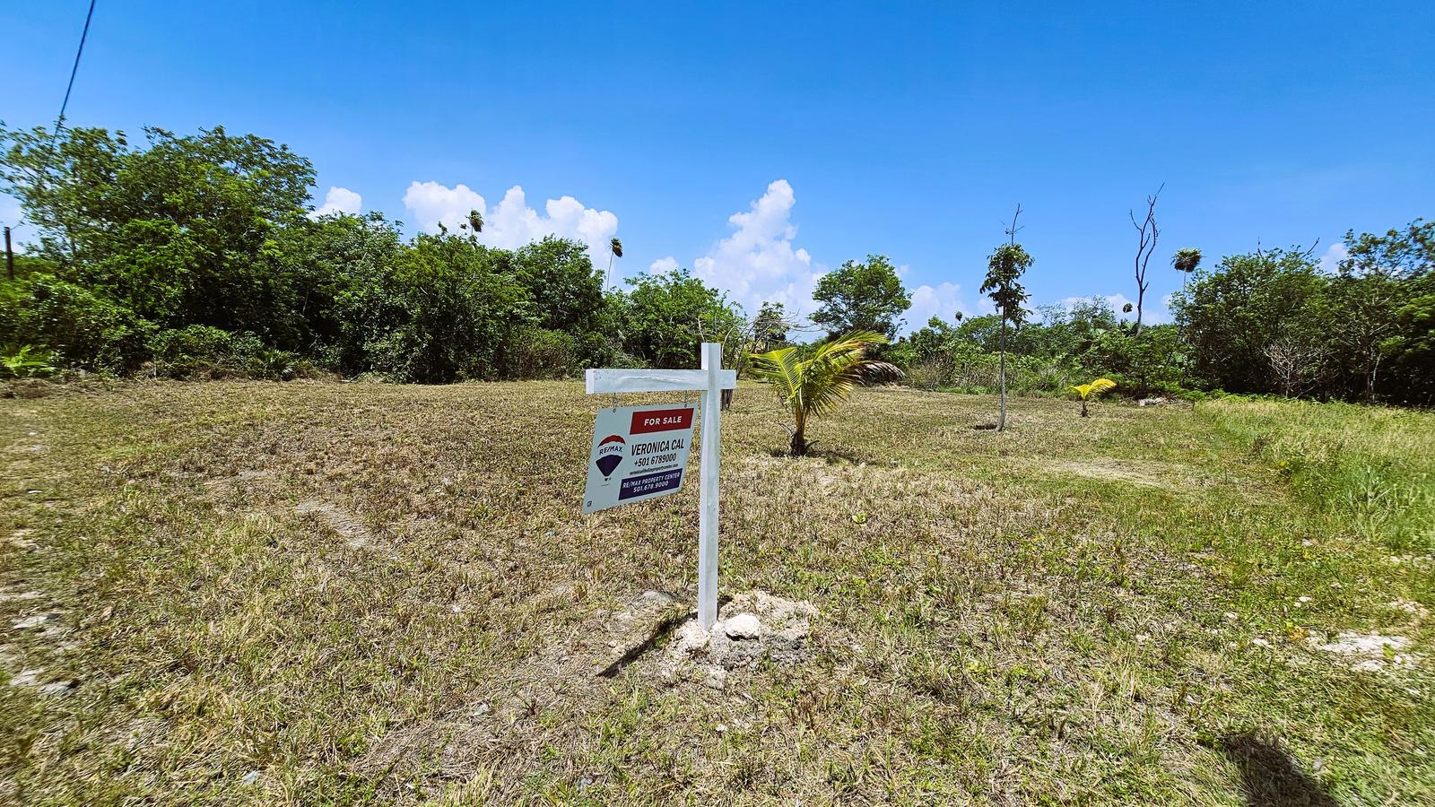Dream Lot in Consejo, Corozal — photo 3