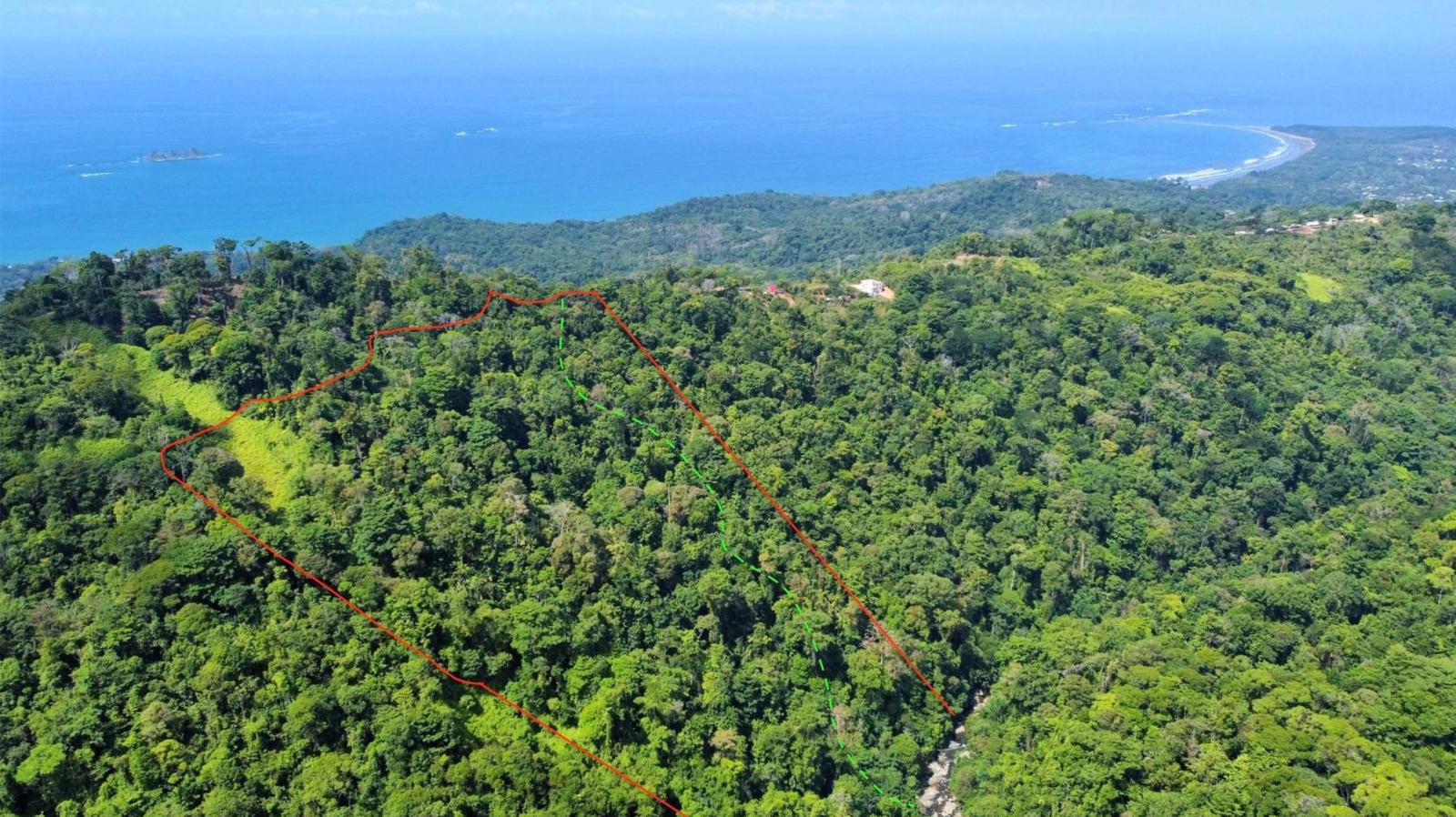 20 Acres of Prime Forest Land for Sale, Uvita, Puntarenas, Costa Rica — photo 5