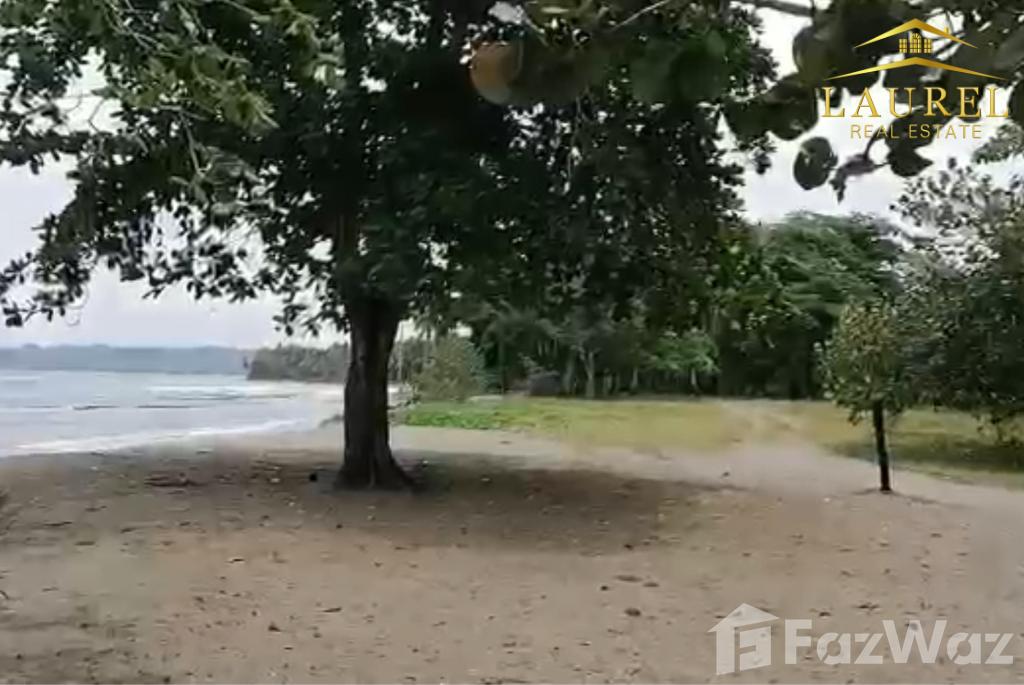 Land for sale on the beach at 55 meters in Gaspar Hernández RD — photo 5