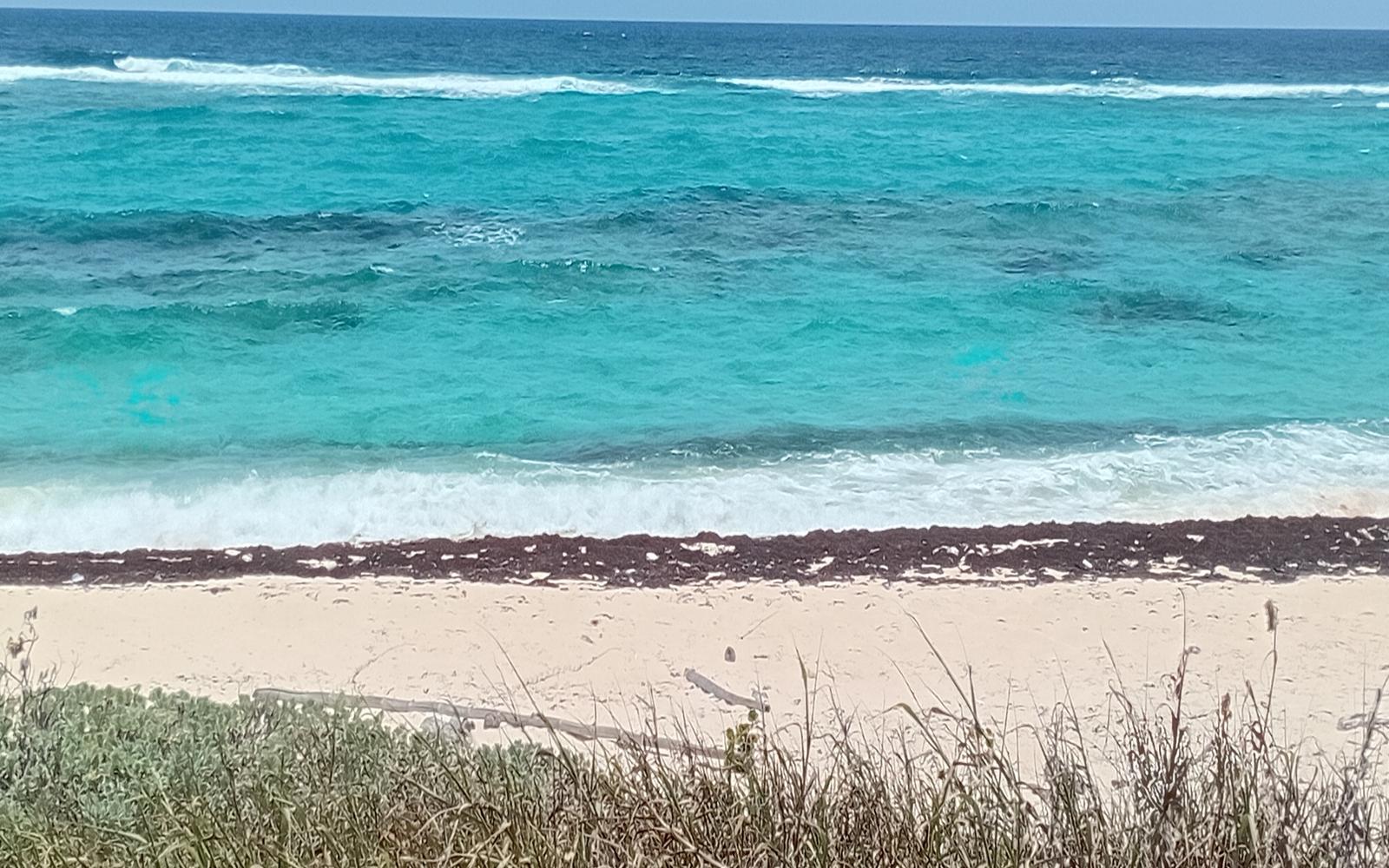 Beachfront Lot, 29.82 Acre - MLS 68148 — photo 2