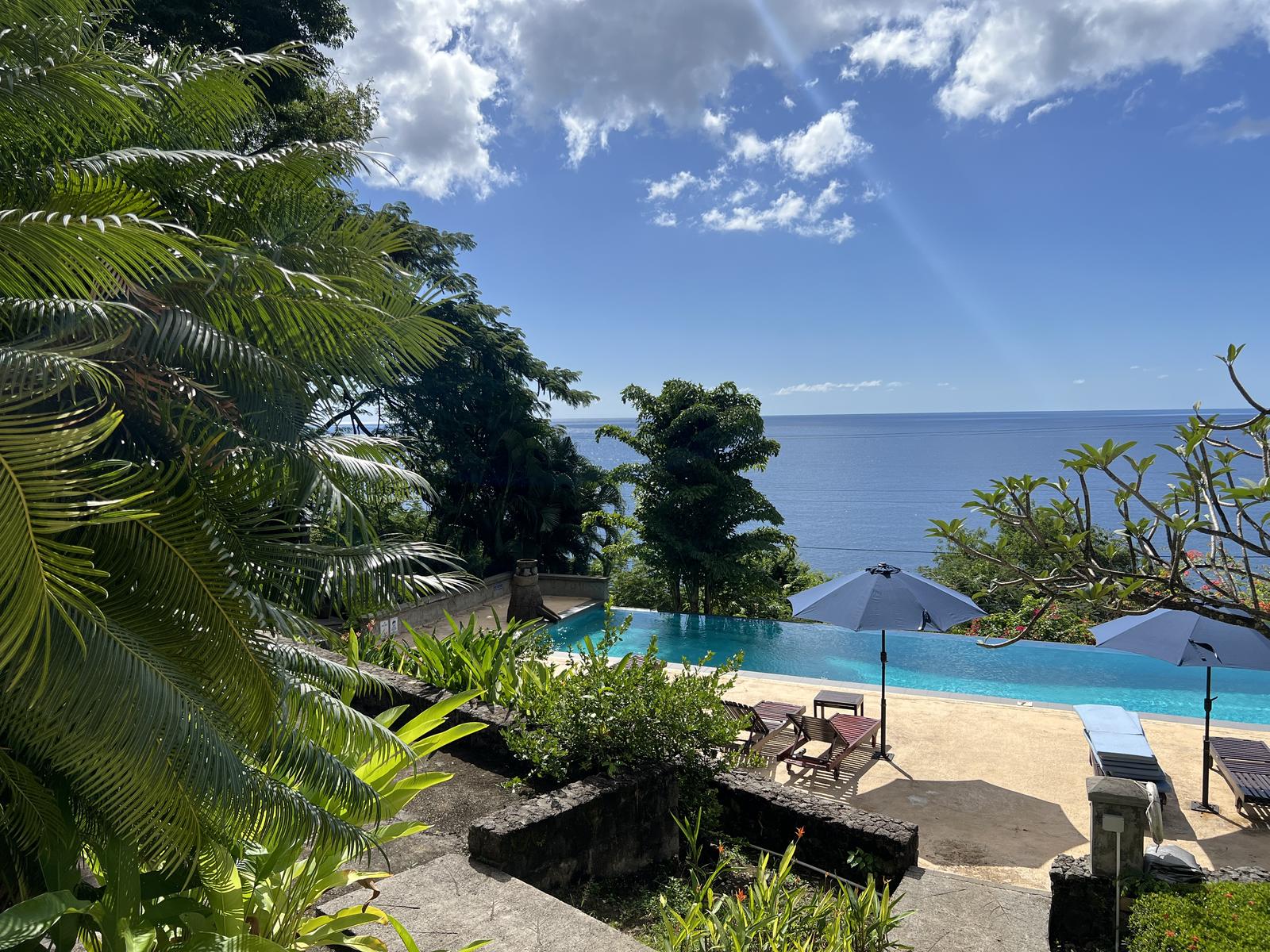 Colibri Cottage — photo 5