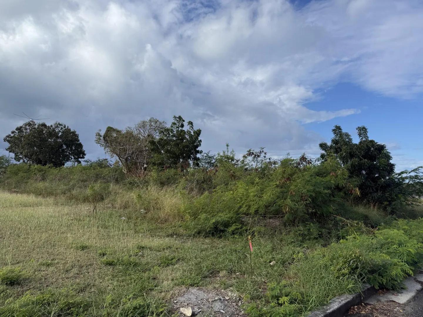 0.28 Acre Homesite in Quarter West End, St. Croix — photo 5