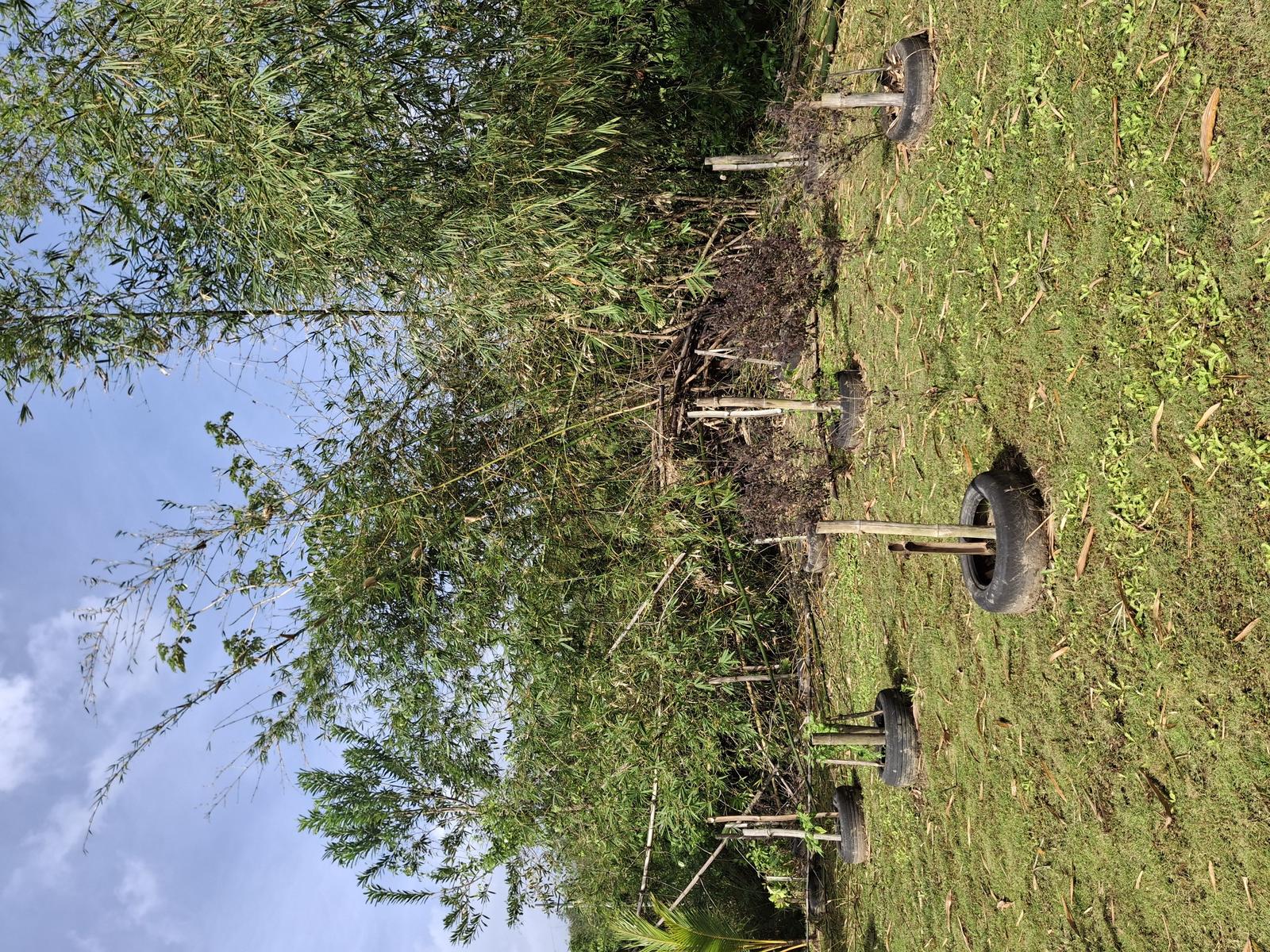 1 lot land Sangre Chiquito — photo 4