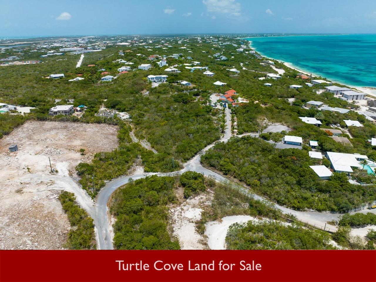 Turtle Cove lots for sale — photo 4