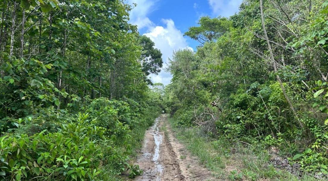 51 Acres on the Swasey River — photo 1