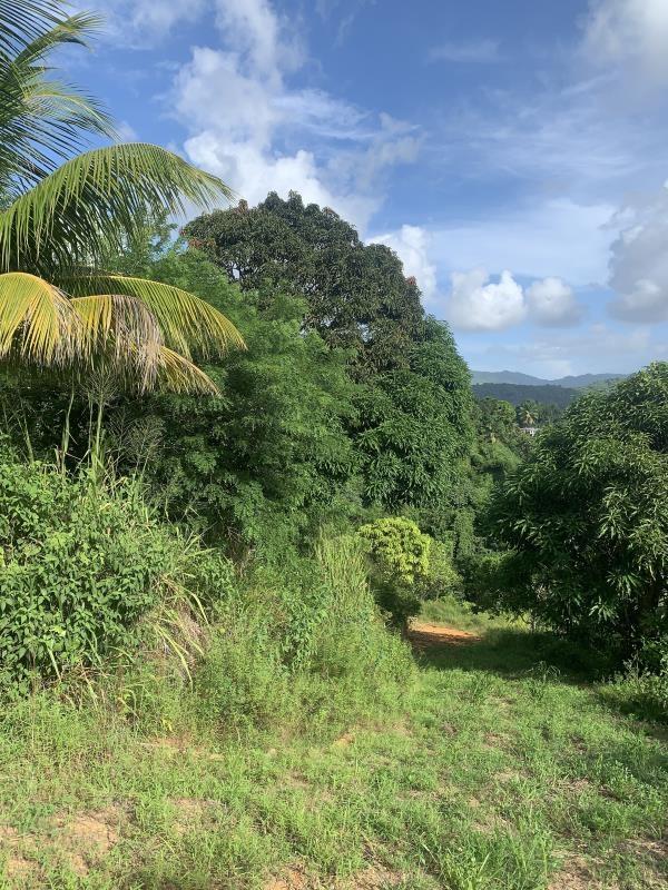 Residential Land Lots in Goodlands, Castries — photo 2