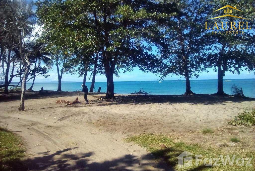 Land for sale on the beach at 55 meters in Gaspar Hernández RD — photo 3