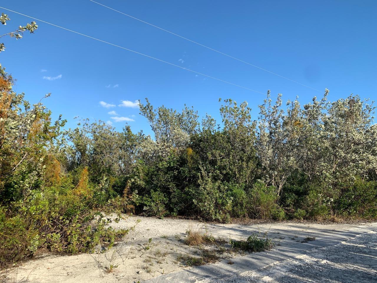 LOT 130 STELLA MARIS — photo 2