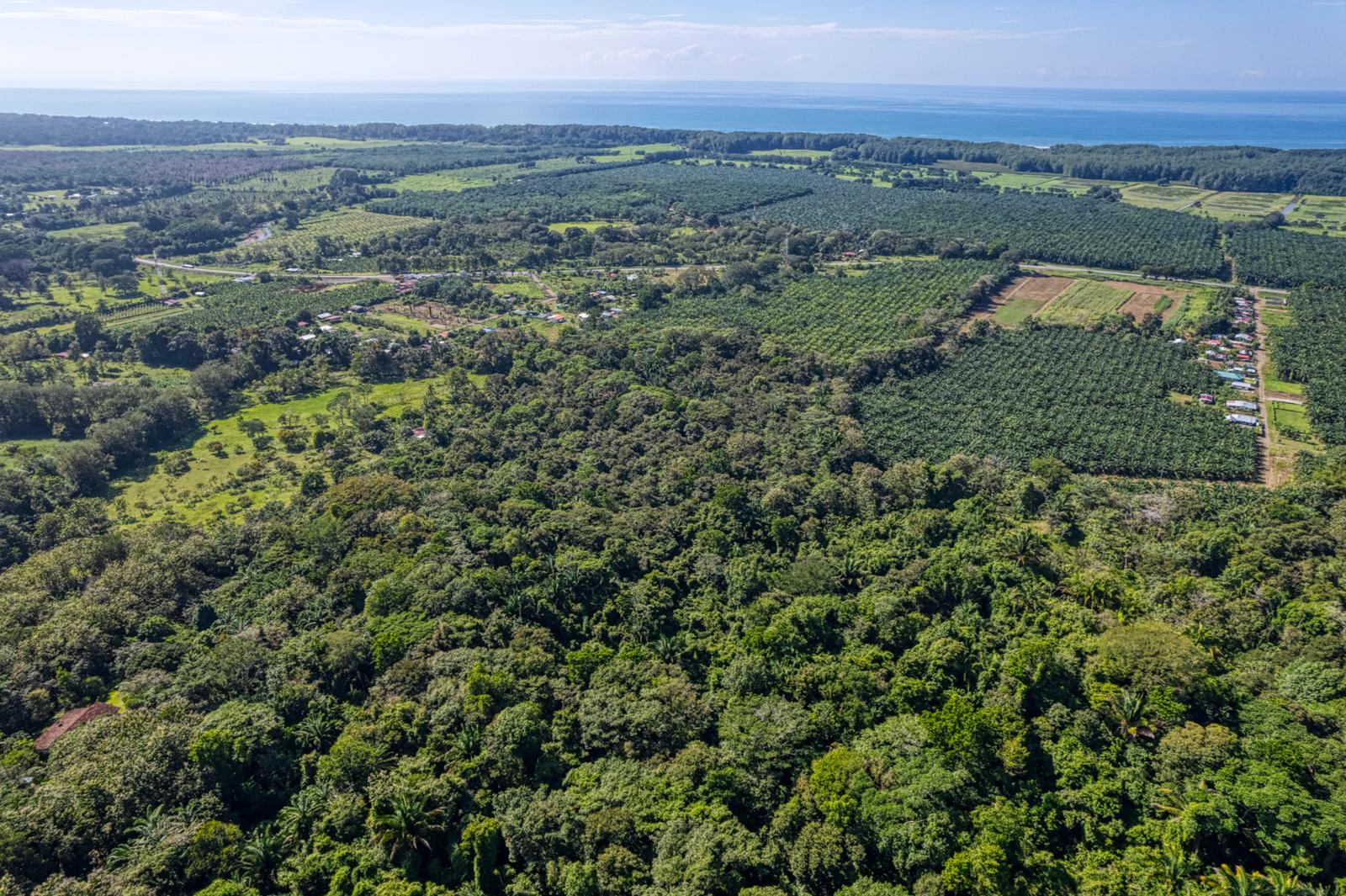 17.2 Acres of Ocean-View Land for Sale — photo 4