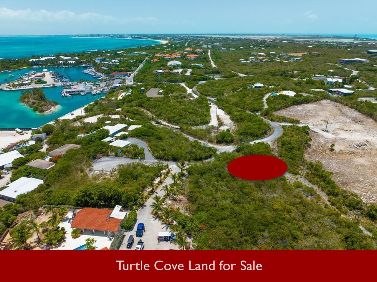 Turtle Cove lots for sale — photo 2