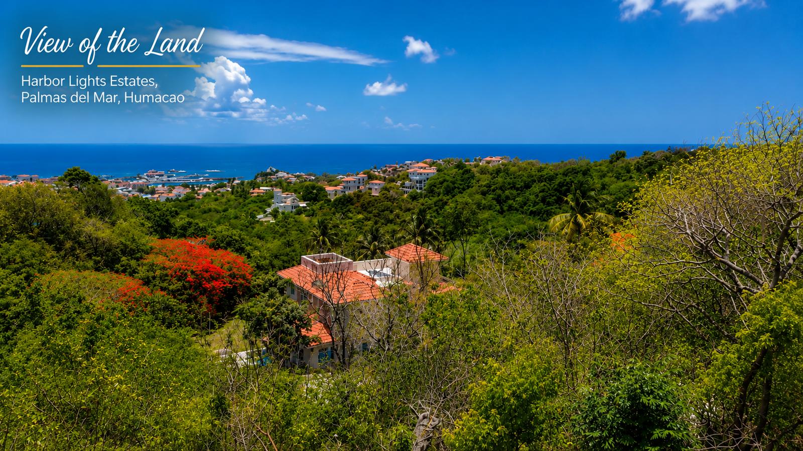 Harbour Lights Estates #24 | Palmas del Mar | Humacao, Puerto Rico — photo 4