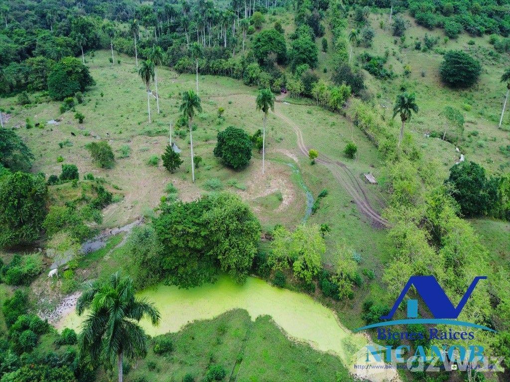 5,200 acre farm for sale in Imbert, Puerto Plata, Dominican Republic — photo 4