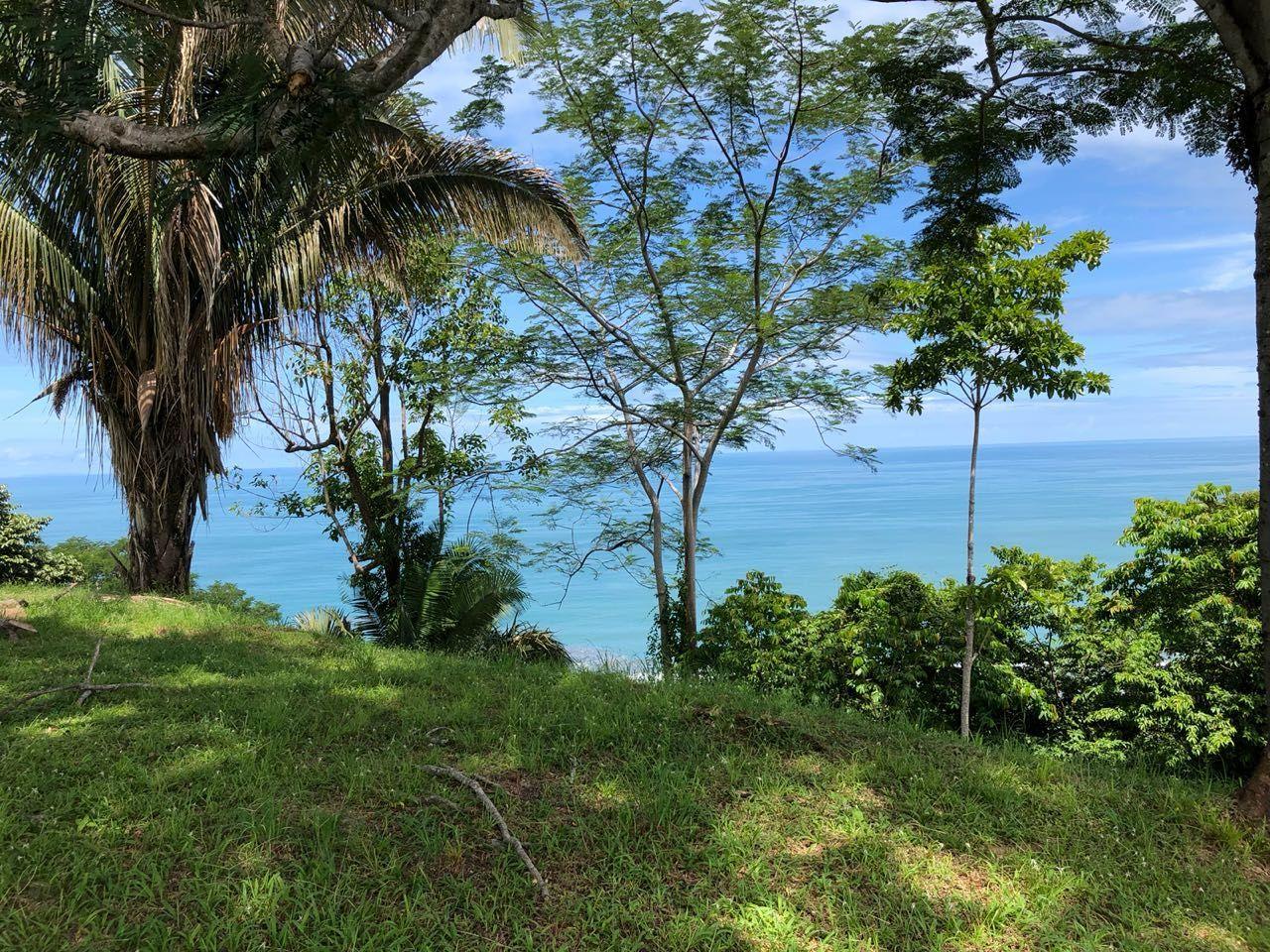 605 Acres Beachfront Land for Sale — photo 5