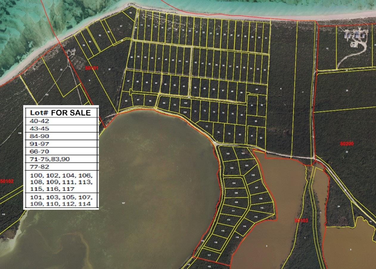Prime 50-Acre Land Opportunity in Turks and Caicos Islands — photo 5