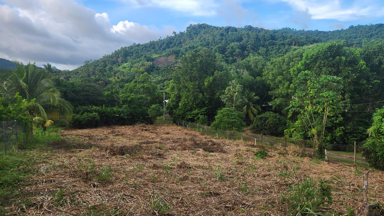 Land for sale Lopinot 4 lots — photo 2