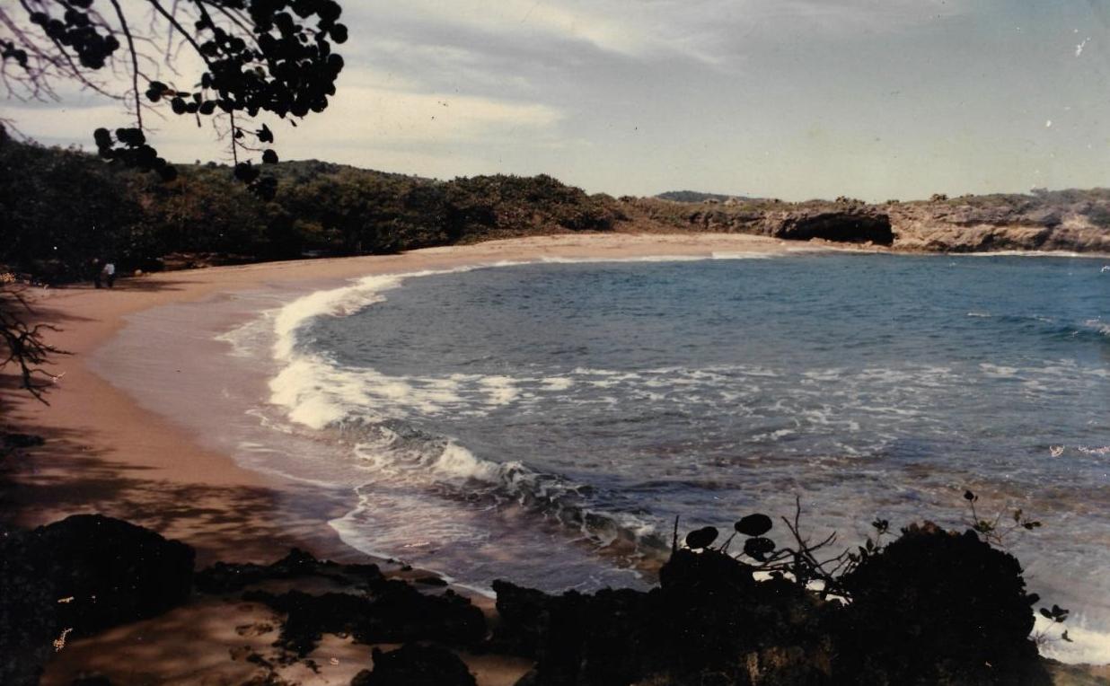 CAYO LA ISLA - PERFECT DEVELOPMENT OPPORTUNITY IN THE DOMINICAN REPUBLI — photo 4