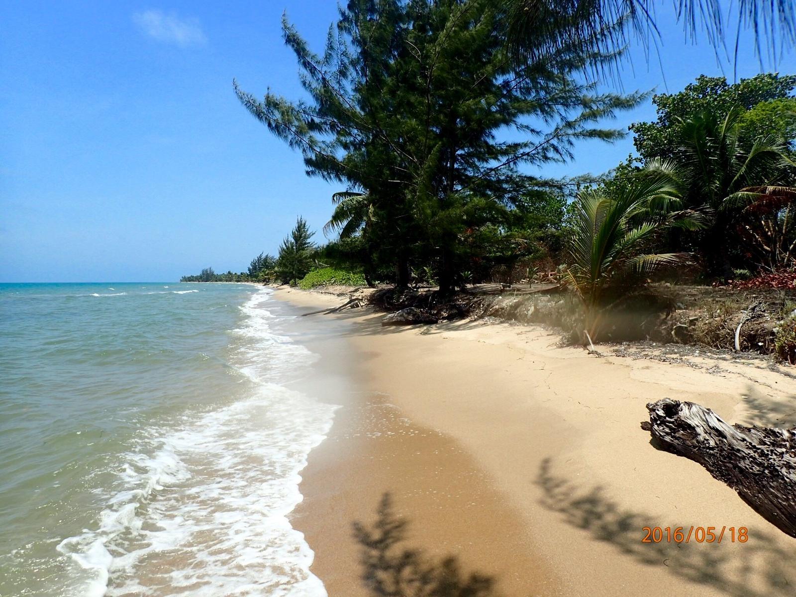Beach front off grid living — photo 3