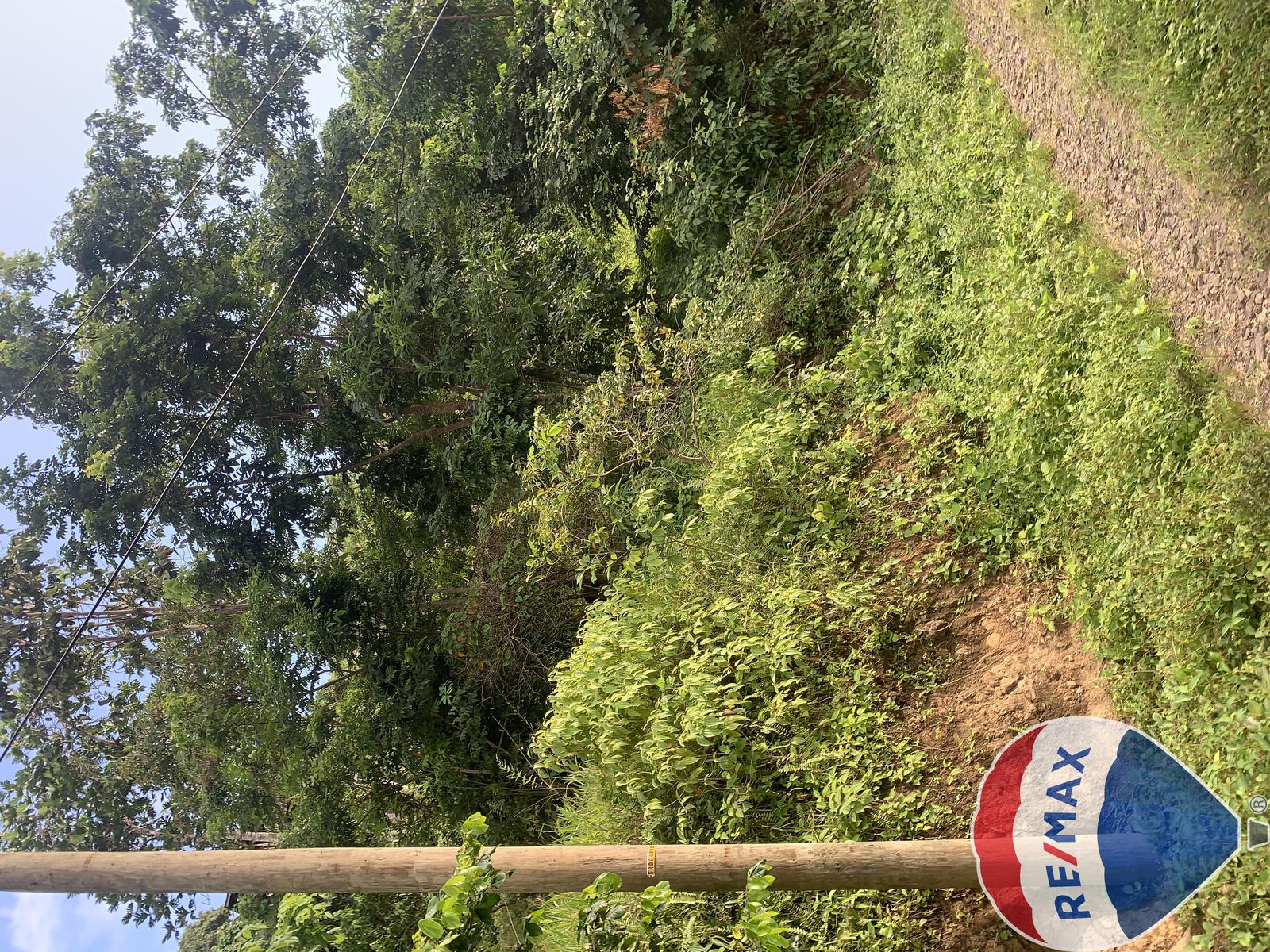 Hillside Land Opportunities with Scenic Mountain Views in Desrameaux — photo 1