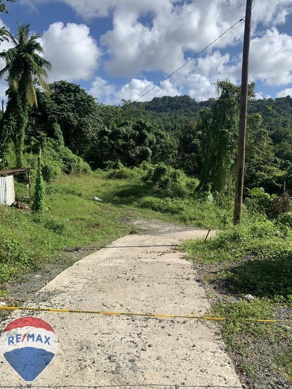 Turn-Key Development Opportunity in Girard Cacao, Castries — photo 2