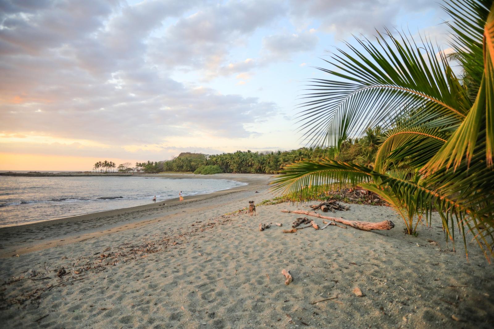7,623 Sq M Beachfront Land for Sale, El Muey Beach, Mal Pais, Puntarenas, Costa Rica — photo 5