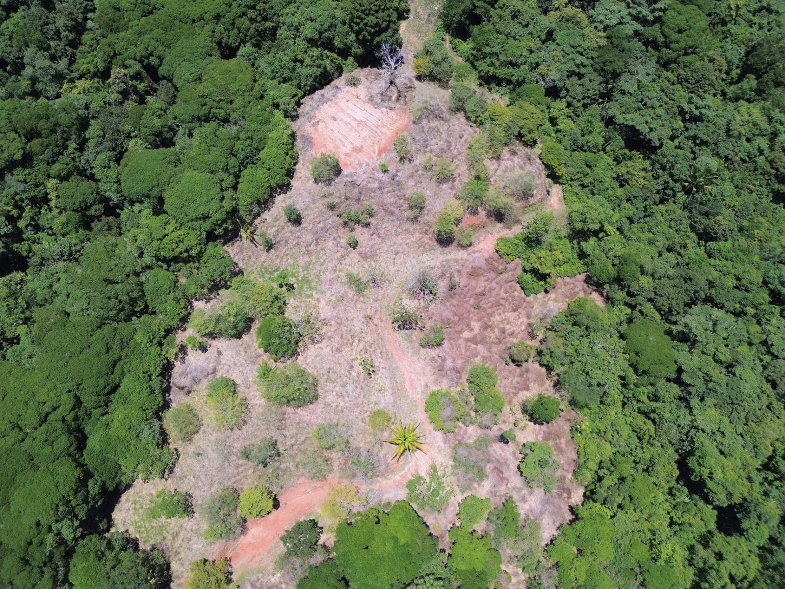 61.78 Acres of Farm Land for Sale, Escaleras, Dominical, Puntarenas, Costa Rica — photo 2