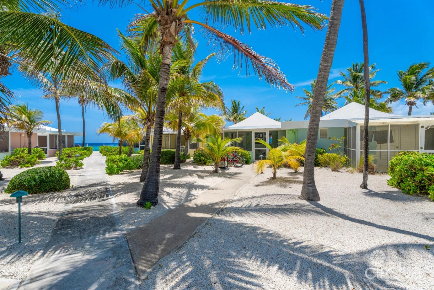Cayman Kai Sea Lodge #13 Beachfront Condo With Impressive Rental History — photo 2