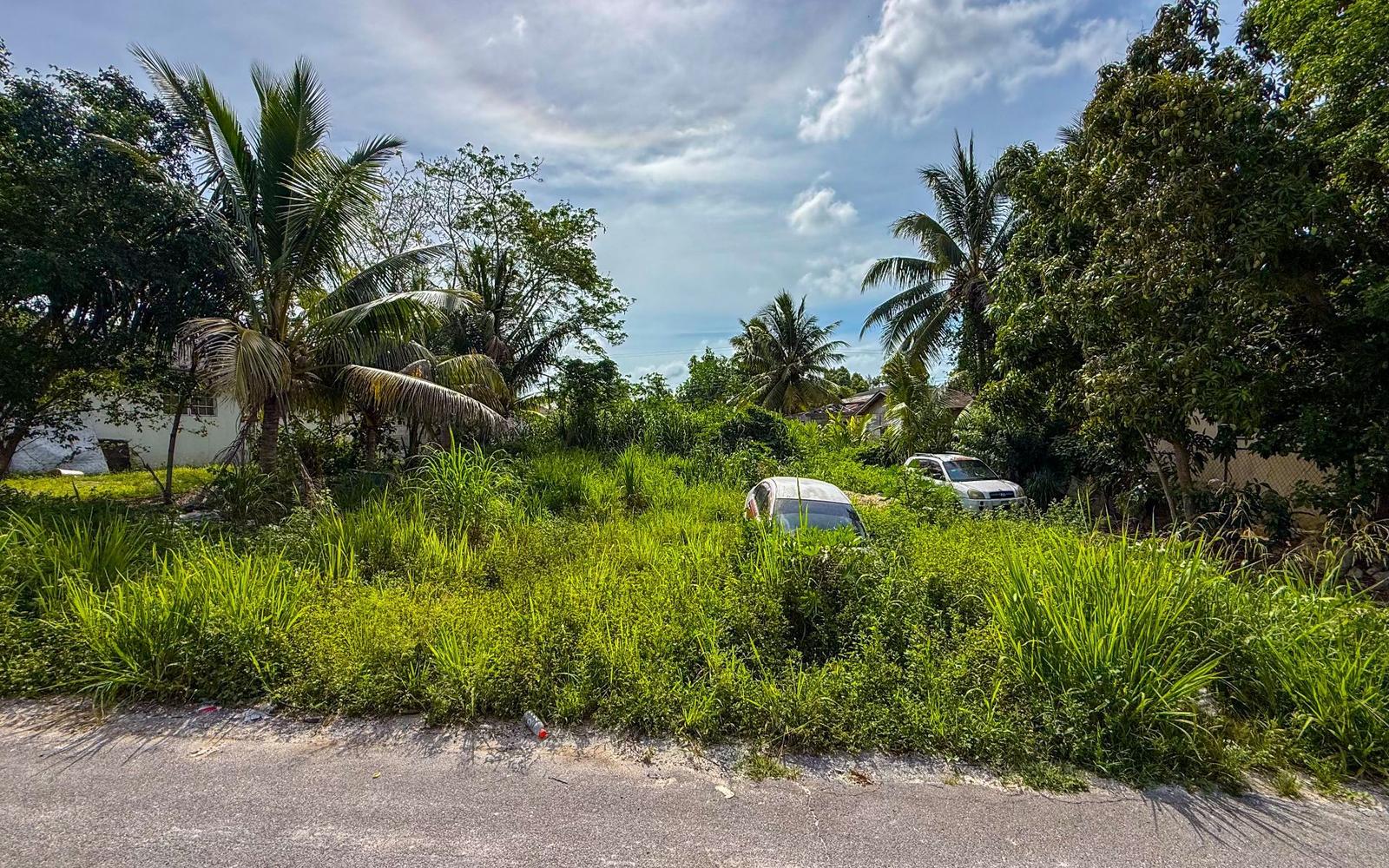 Lot 39, Nassau Village - MLS 67183 — photo 3