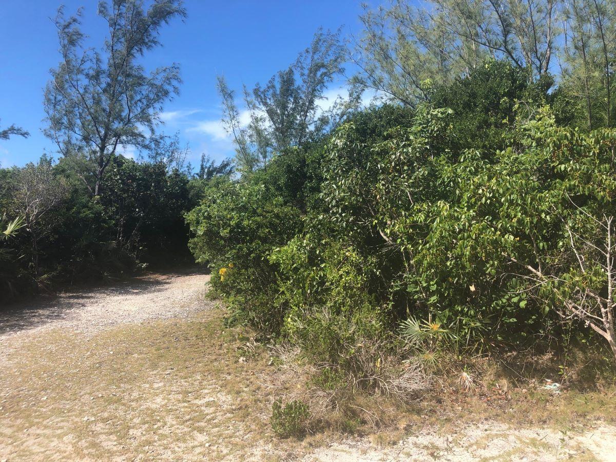 RAINBOW BAY, ELEUTHERA — photo 4