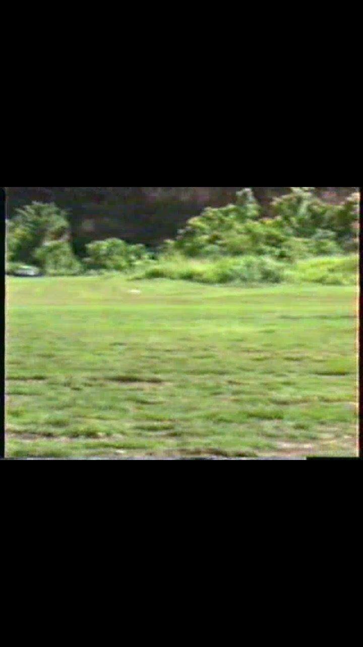 10 acres land in Bo. Higuillar, Dorado — photo 5