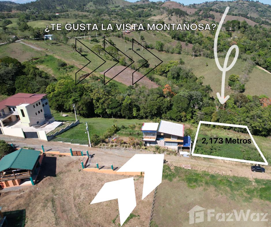 Vega for sale in Jarabacoa, La Vega — photo 5