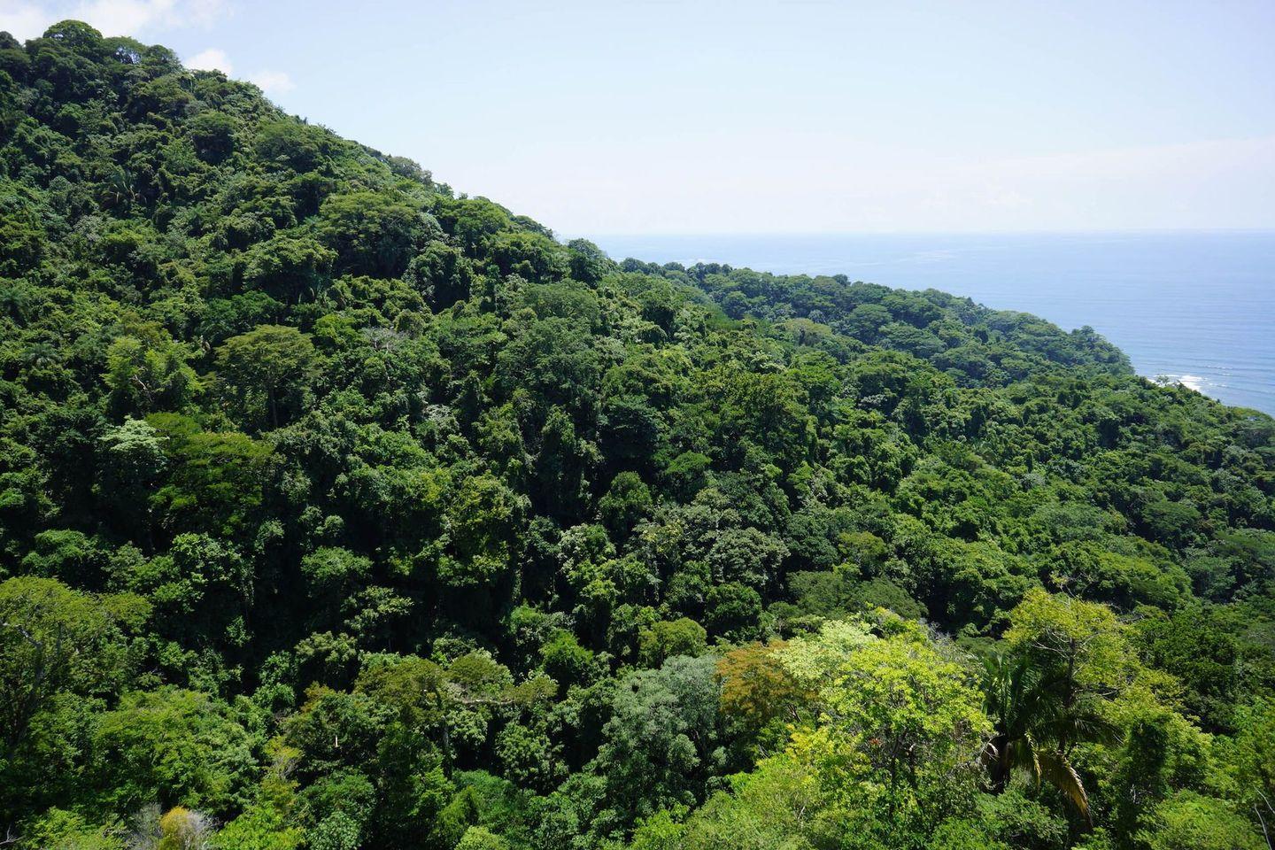 6.16 Hectares of Development Land for Sale — photo 4