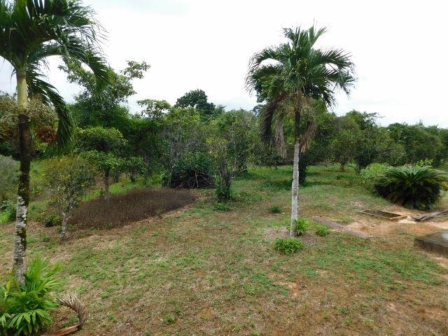 #2527 - 100 ACRES OF RIVERSIDE LAND CLOSE TO BELMOPAN, CAYO DISTRICT. — photo 5