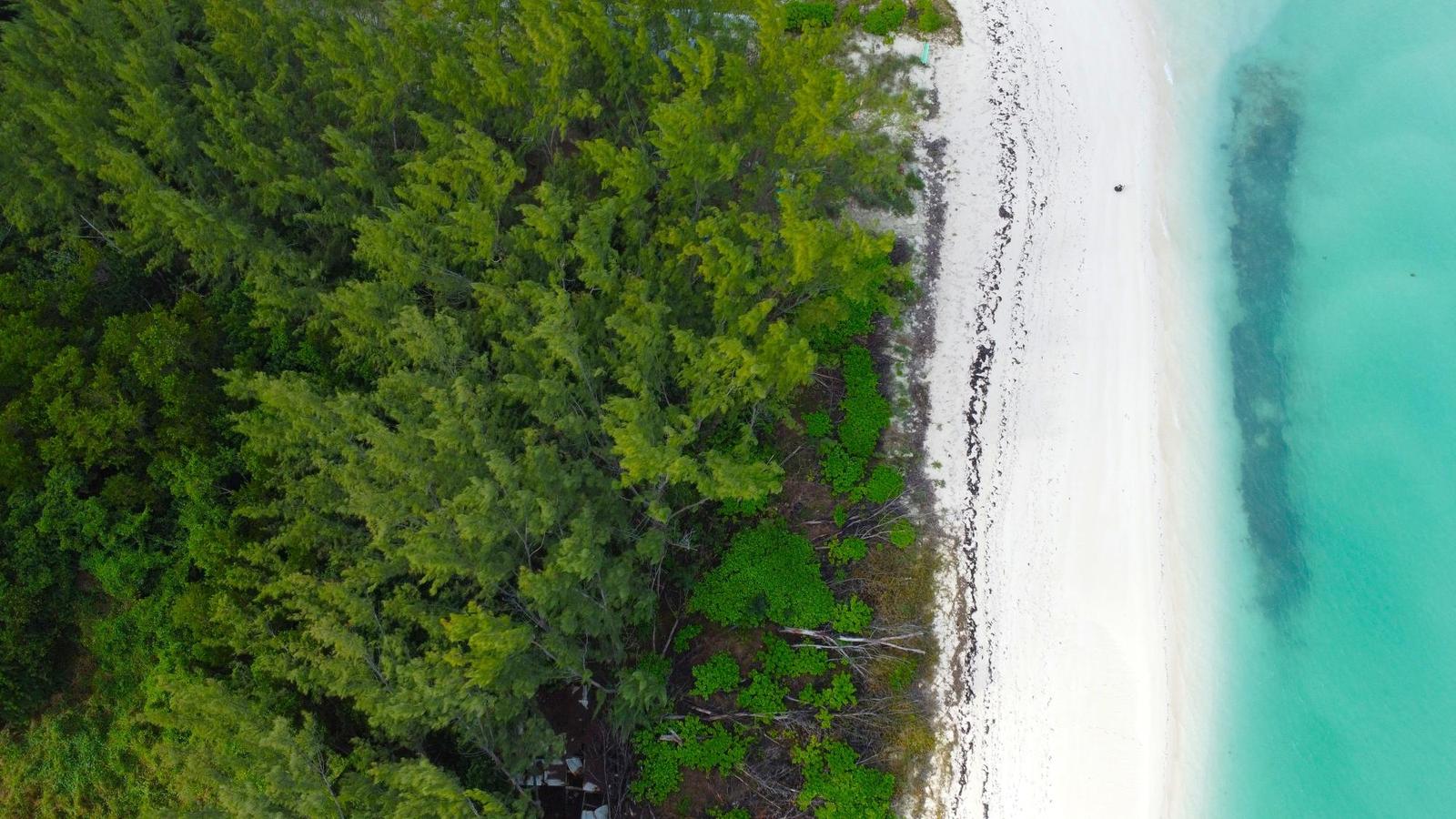 RUSSEL ISLAND — photo 4