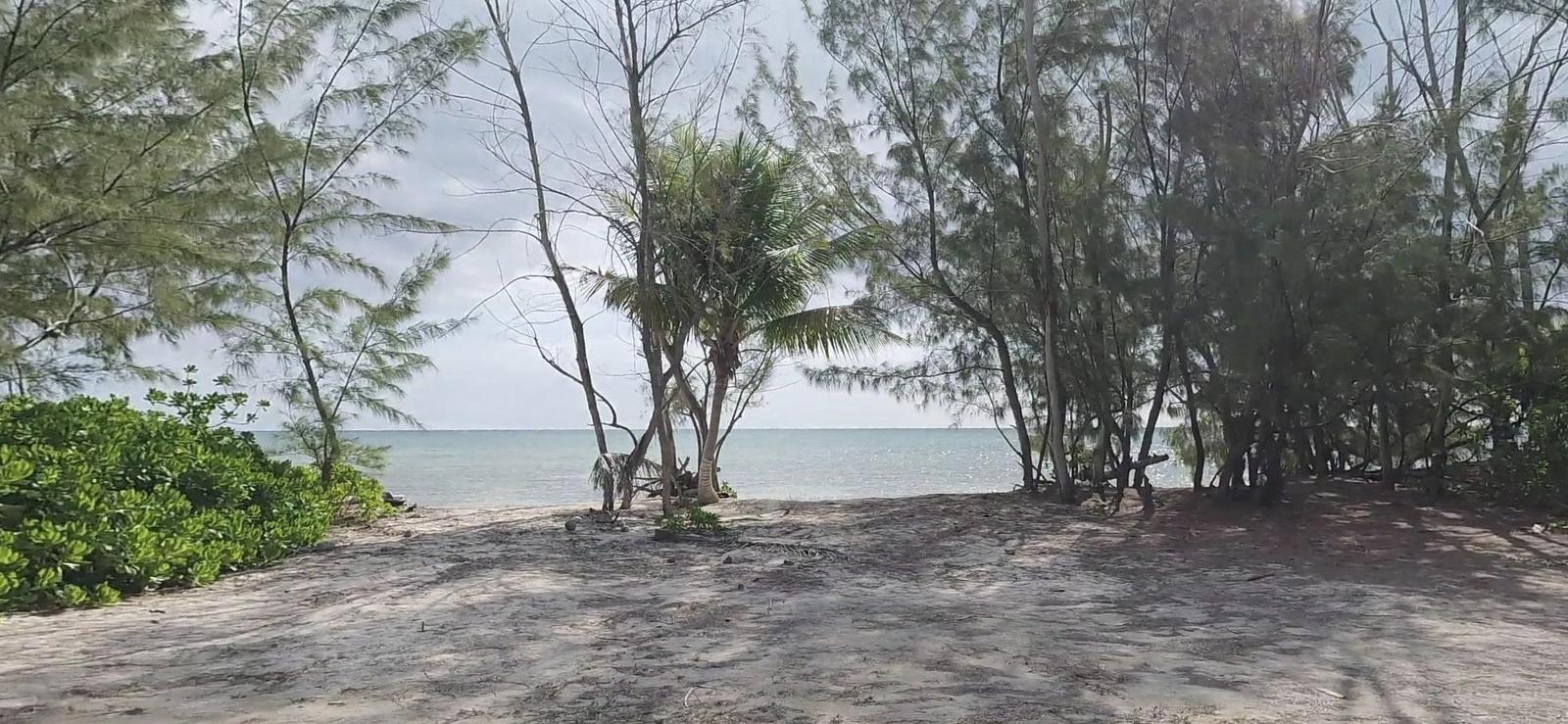 MANGROVE CAY — photo 2